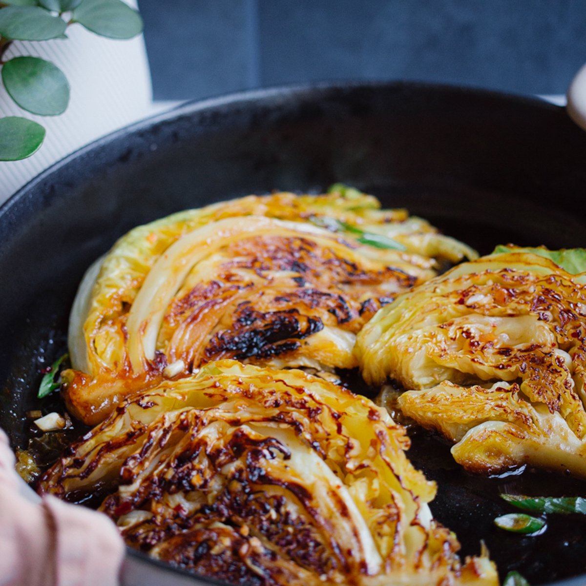Sesame Braised Cabbage