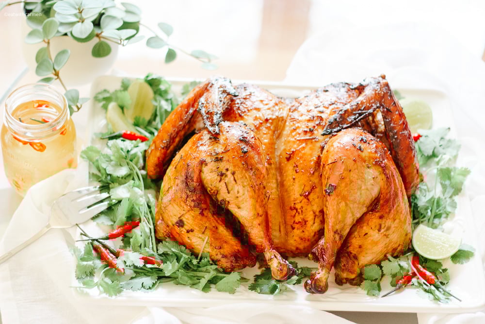 holiday turkey holiday turkey