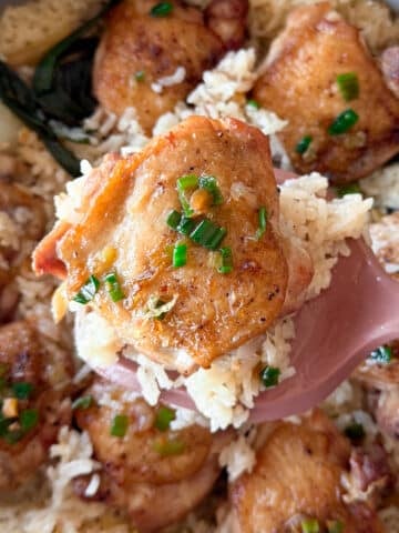 one pot chicken and rice with ginger scallion sauce