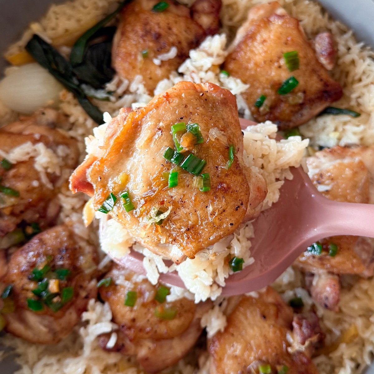 one pot chicken and rice with ginger scallion sauce