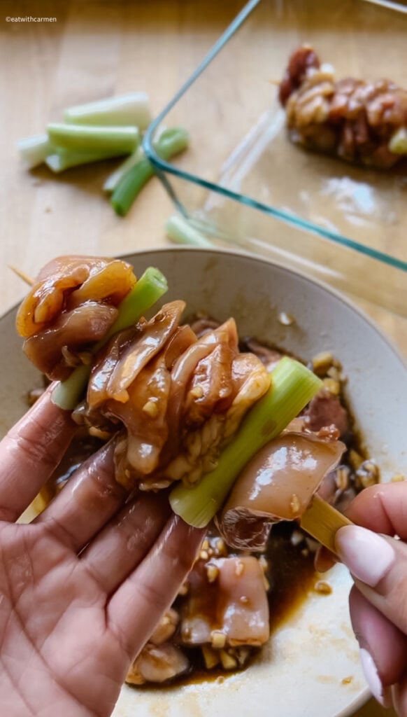 chicken skewer with green onion