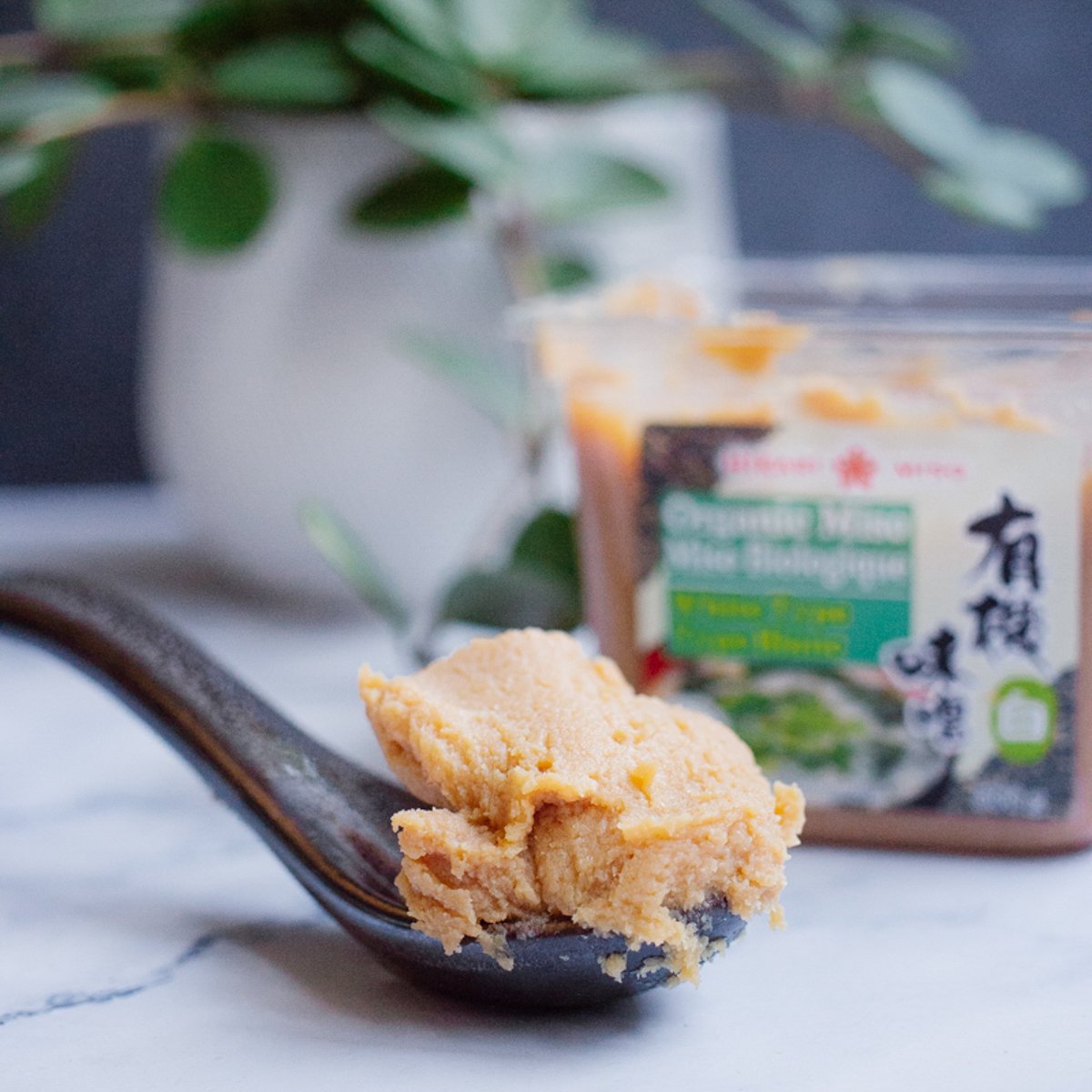 How to Store Miso Paste and How Long Does it Last?
