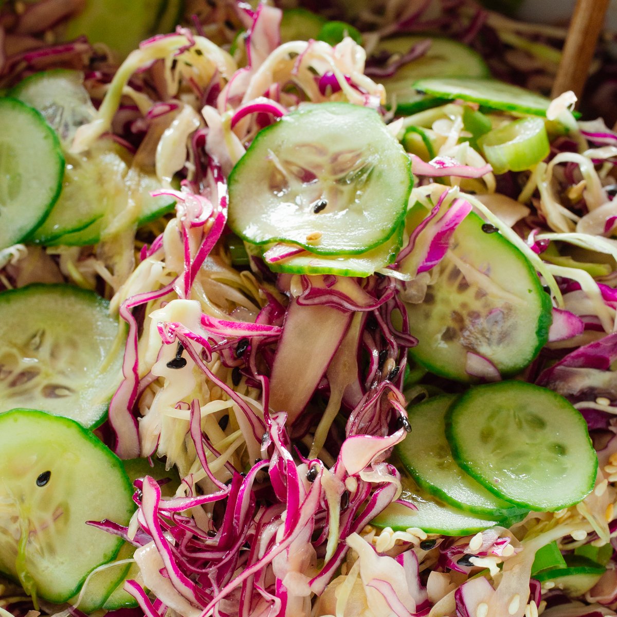 The Best Asian Coleslaw with Easy Sesame Dressing