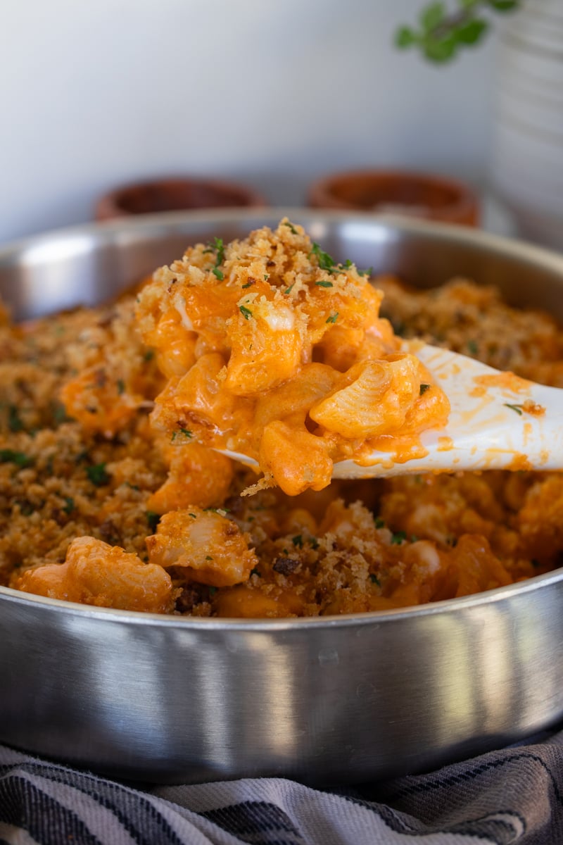 korean mac n cheese