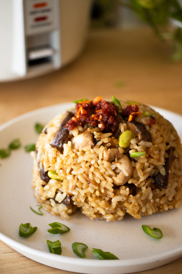 Recipes Using A Rice Cooker Rice Cooker Chicken and Rice