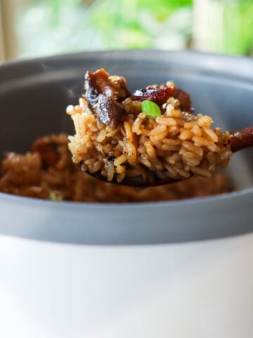 rice cooker meals asian