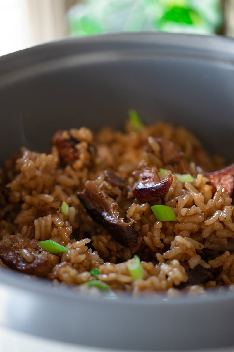 rice cooker meals