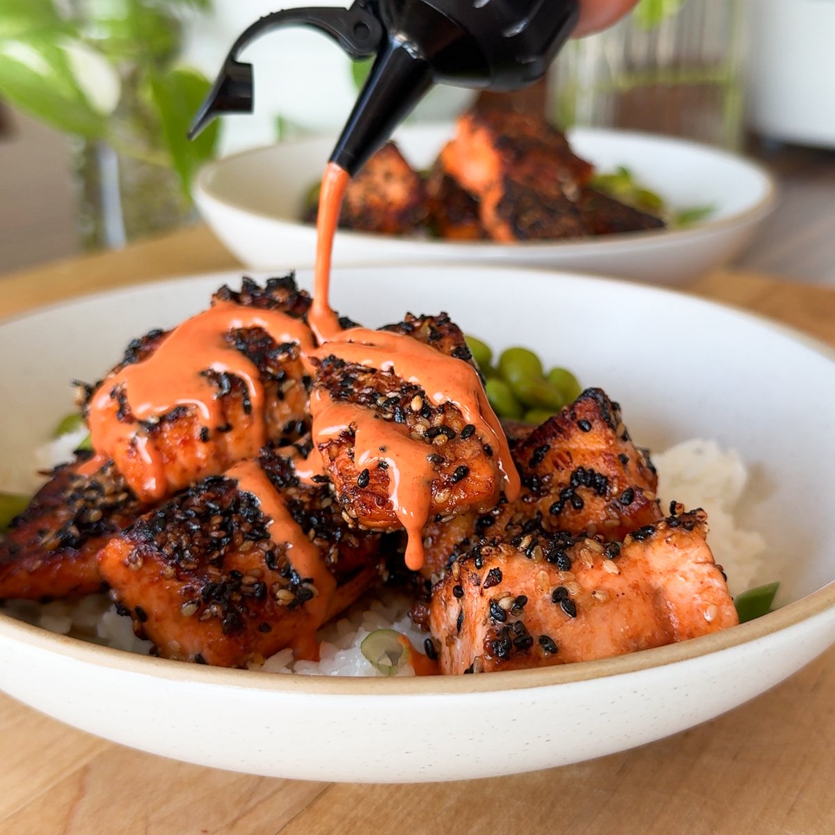 spicy salmon rice