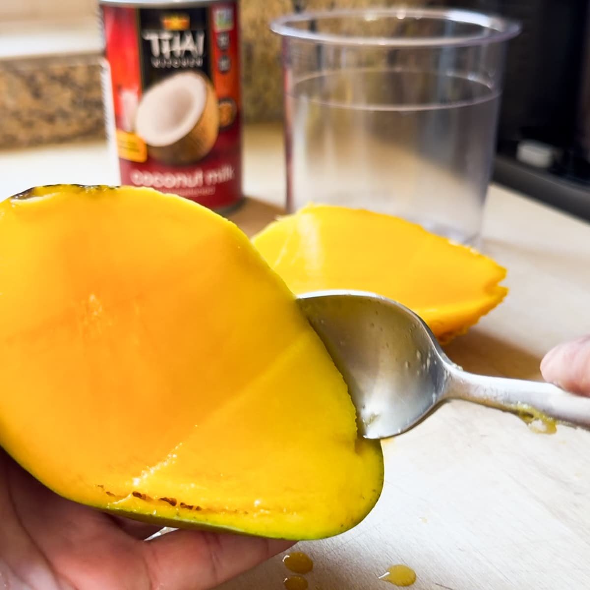 fresh mango sorbet ninja creami