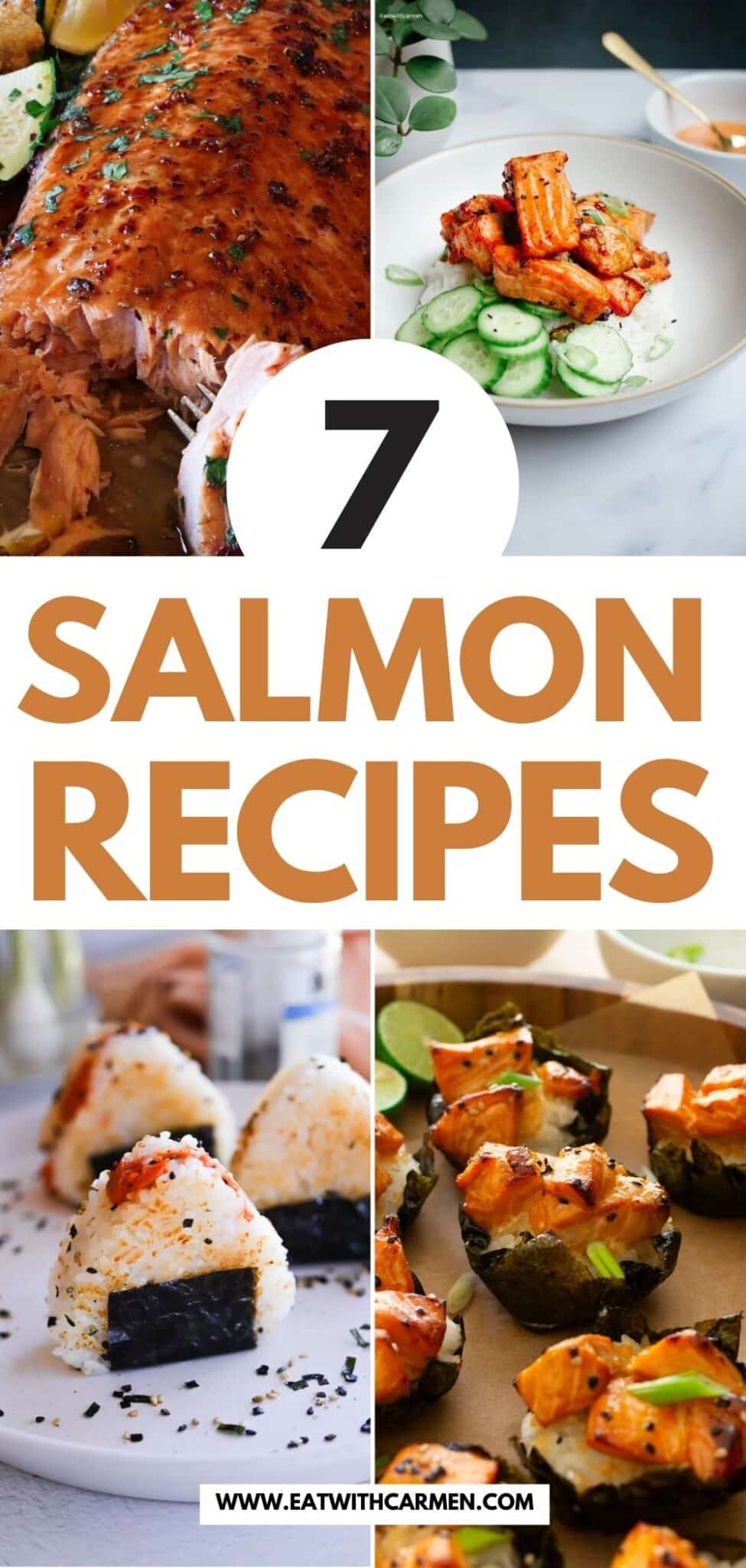salmon recipes - introduction image