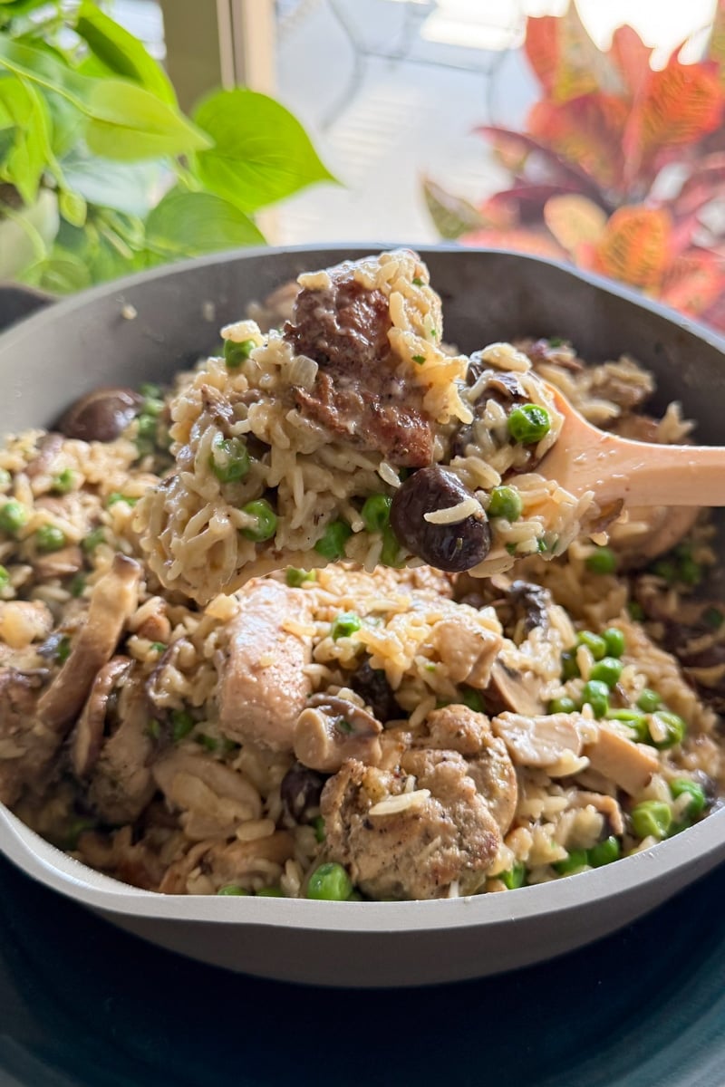 chicken and rice with mushroom