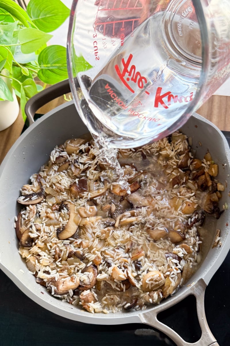 mushroom chicken and rice