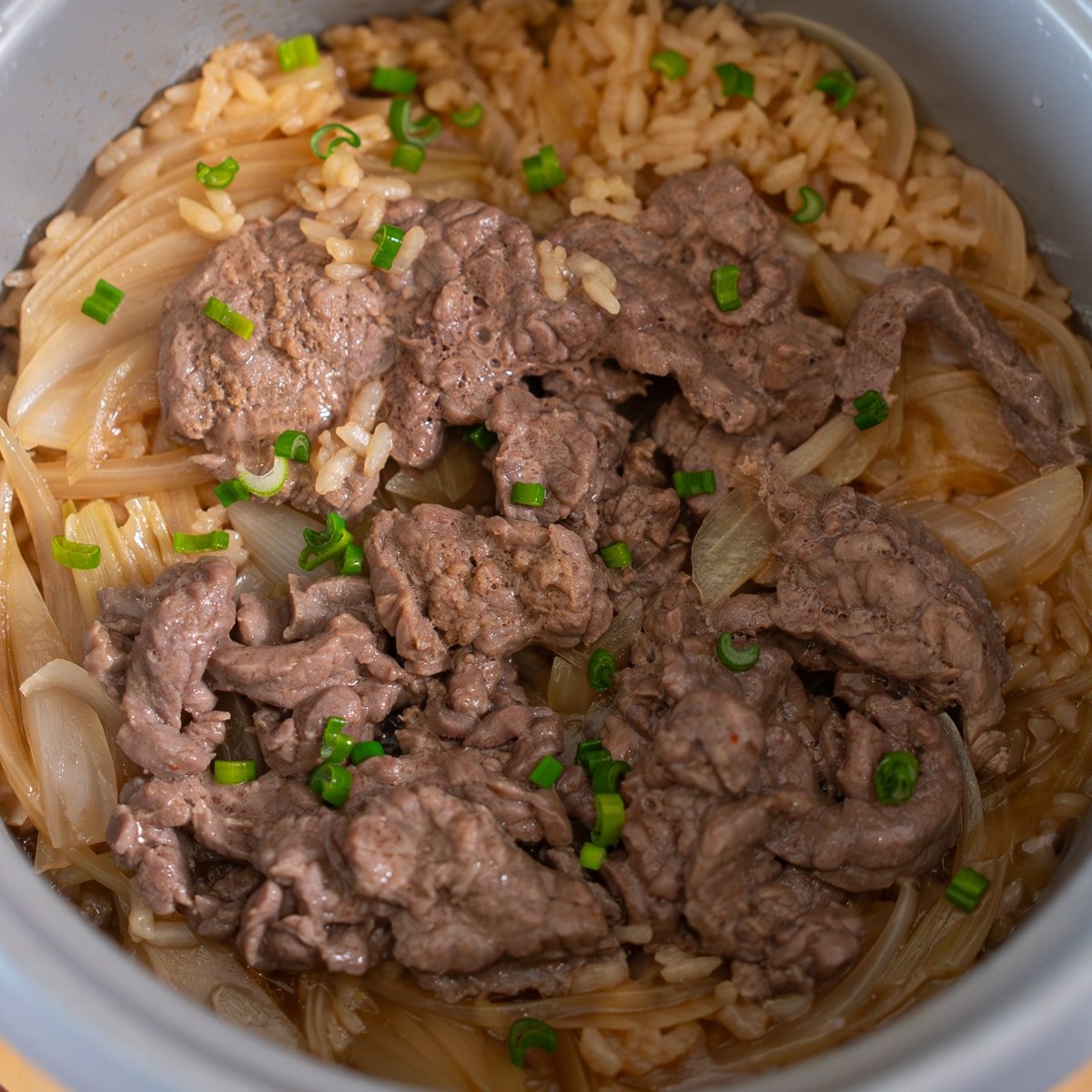 Gyudon recipe 