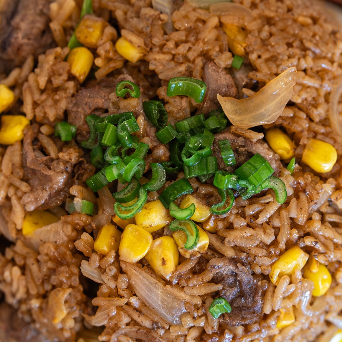 Beef and rice bowl