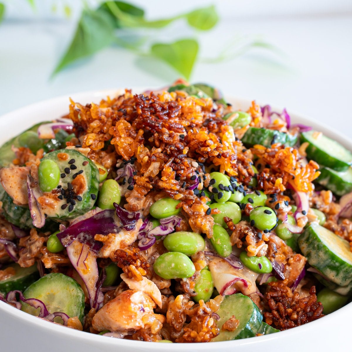 Salmon on crispy rice