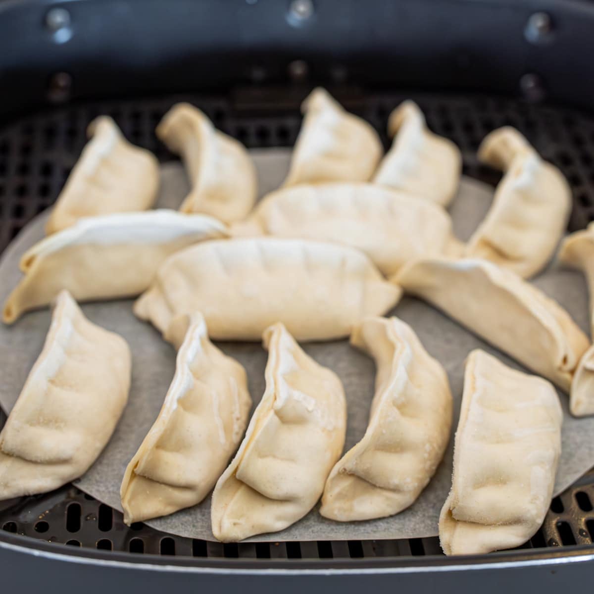 Frozen dumplings arranged in a single layer in an air fryer basket before cooking