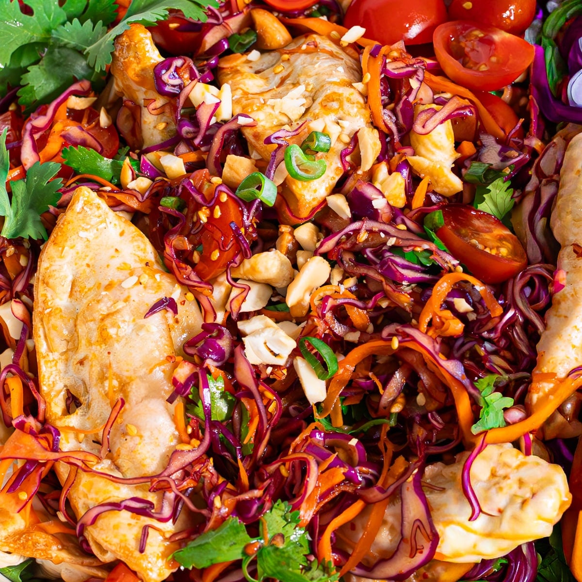 Crispy dumplings tossed with the dressed cabbage salad, topped with cashews and cilantro