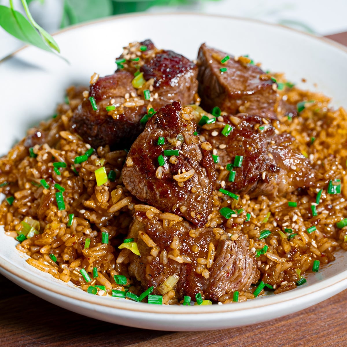Steak and fried rice