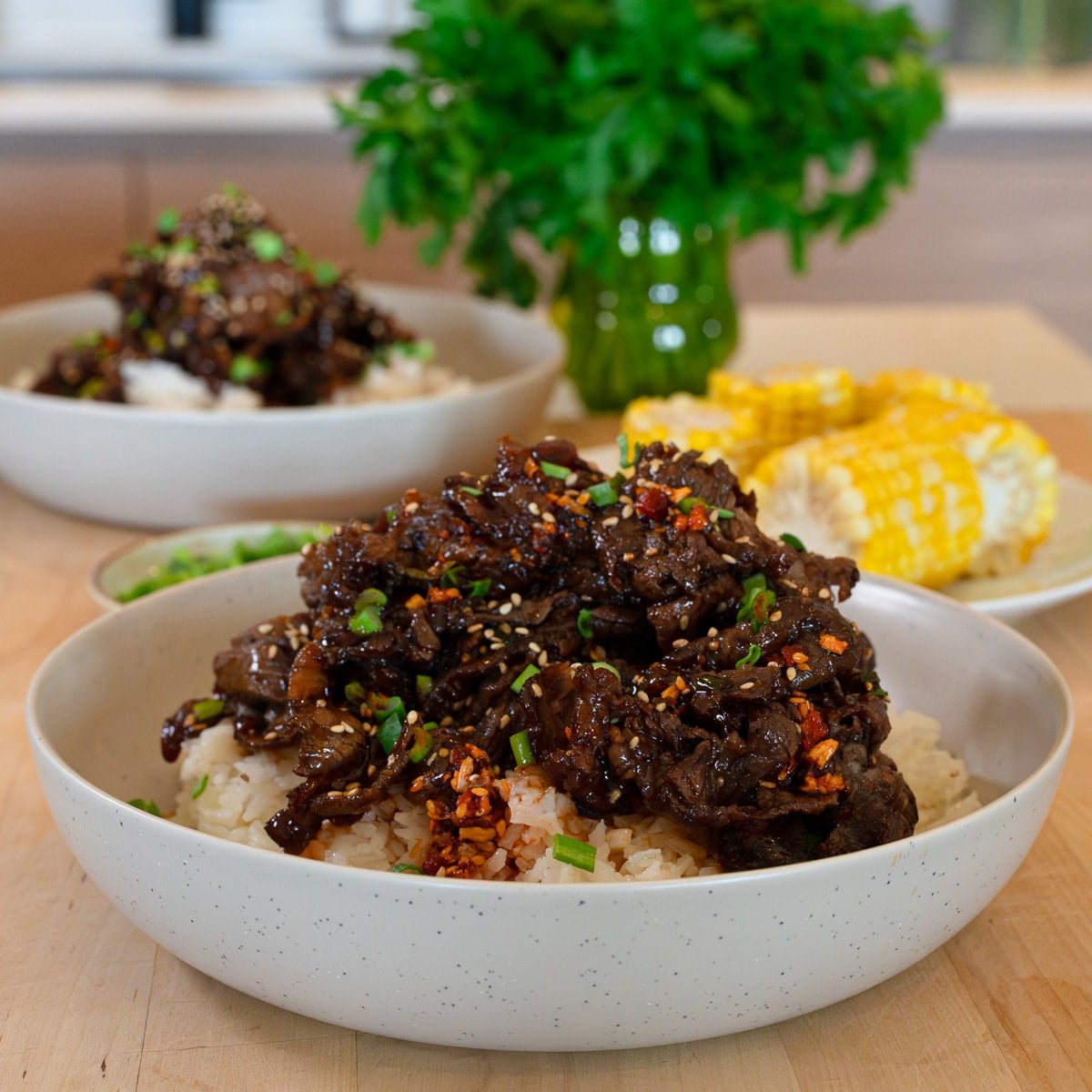 beef rice bowl